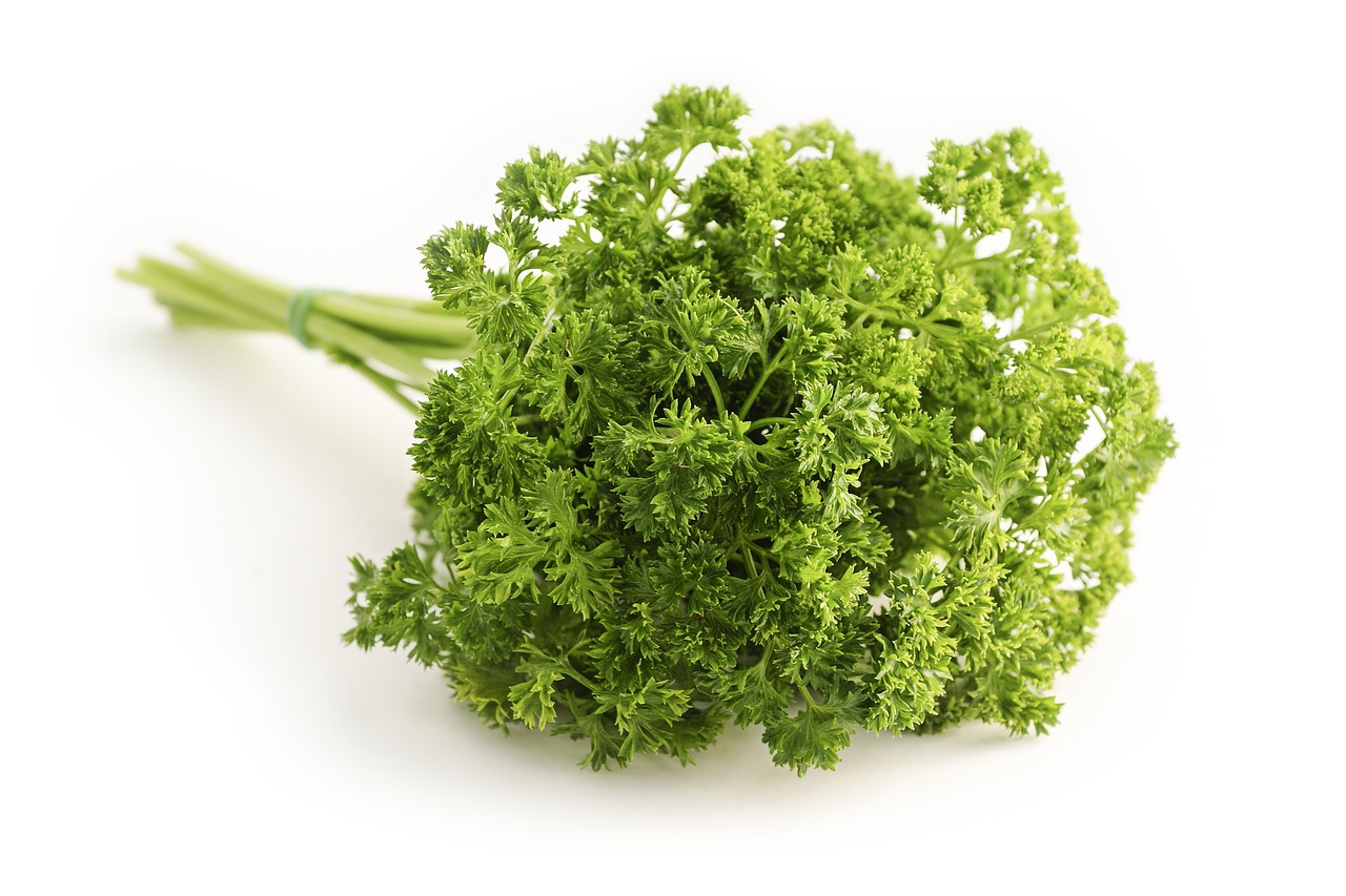 विटामिन और मिनरल से भरपूर पार्सले (Parsley) के हेल्थ बेनिफिट्स तो जान लीजिए