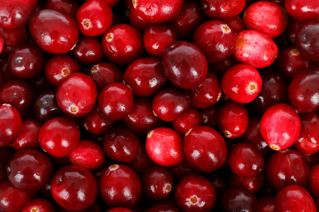 क्रैनबेरी-Cranberries