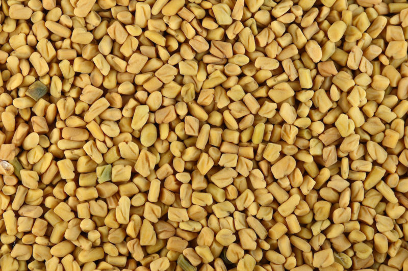 Fenugreek: मेथी क्या है?
