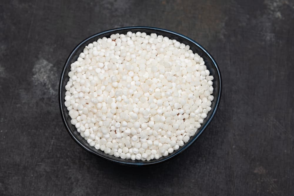साबूदाना के फायदे एवं नुकसान – Health Benefits of Sabudana