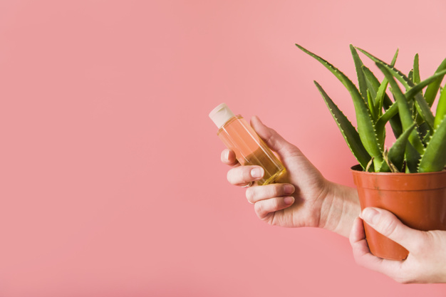 एलोवेरा के फायदे: सिर्फ टैनिंग ही नहीं स्किन प्रॉब्लम्स के लिए है रामबाण