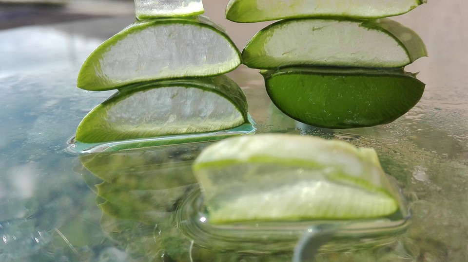 Aloe Vera: एलोवेरा क्या है? इस्तेमाल से पहले जरूर जान लें ये बातें!