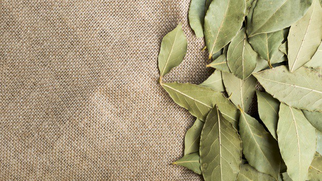 जानें ​सेहत के लिए कैसे फायदेमंद है तेजपत्ता