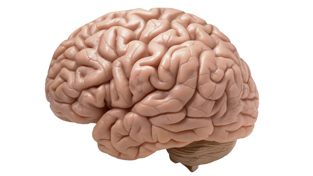 जानें ऑटिज्म और आनुवंशिकी में क्या संबंध है?