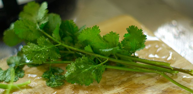 Coriander: धनिया क्या है? जानिए इसके उपयोग, डोज और सावधानियां