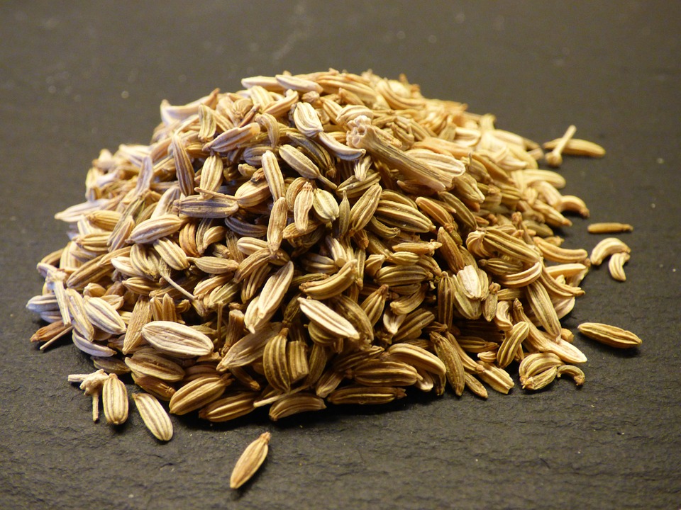 सौंफ के फायदे एवं नुकसान – Health Benefits of Fennel Seed (Sauf)