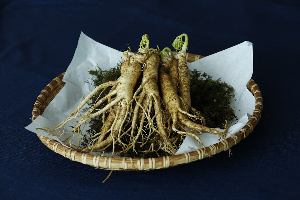 Ginseng : जिनसेंग क्या है? जानिए इसके फायदे और साइड इफेक्ट