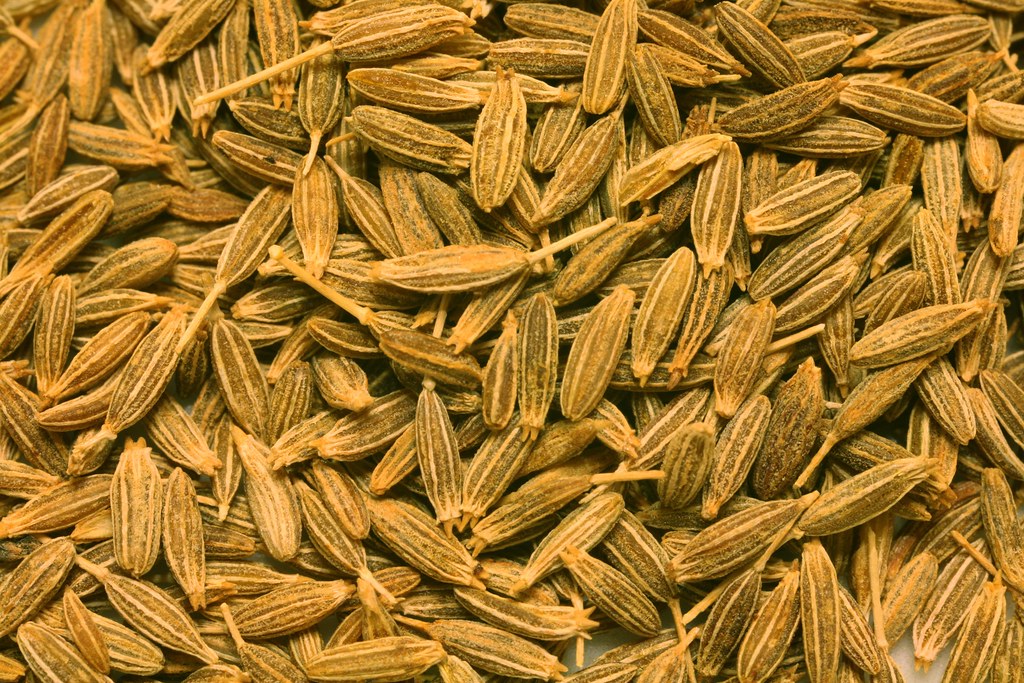 Cumin Seeds-जीरा