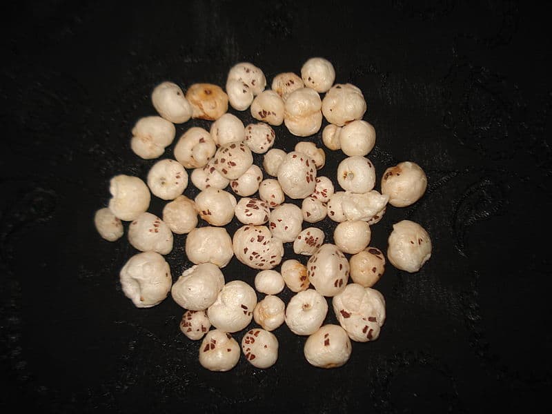 Fox Nut: जानिए मखाना खाने के फायदे और नुकसान