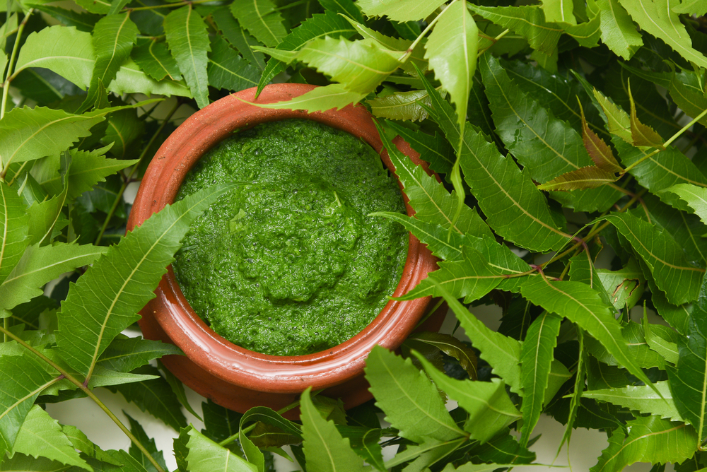 नीम के फायदे-neem benefits
