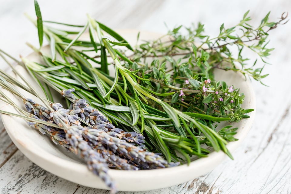 रोजमेरी के फायदे एंव नुकसान – Health Benefits of Rosemary