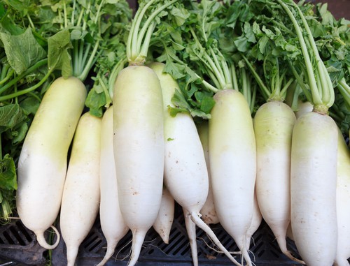 मूली खाने के फायदे चौका देंगे आपको, शुरू कर देंगे आज से ही खाना