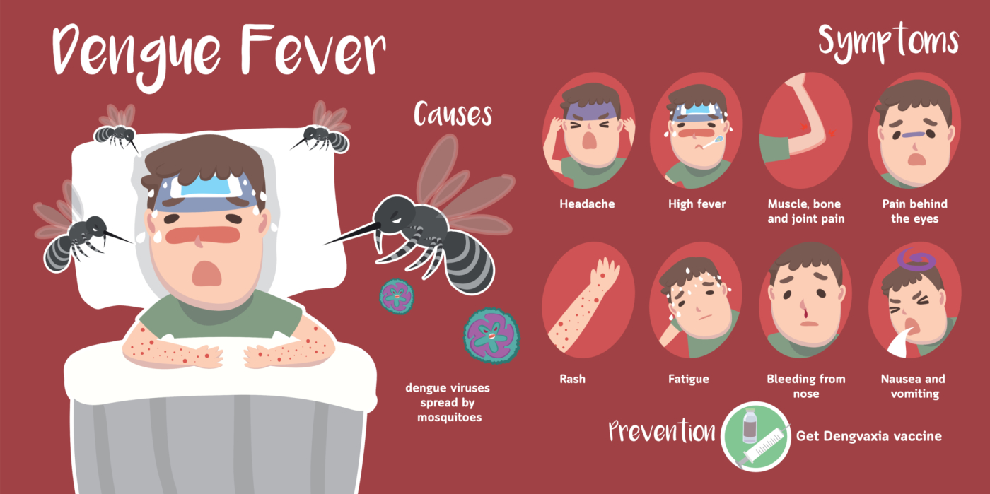 जानें बच्चों में डेंगू (Dengue) बुखार के लक्षण और उपाय