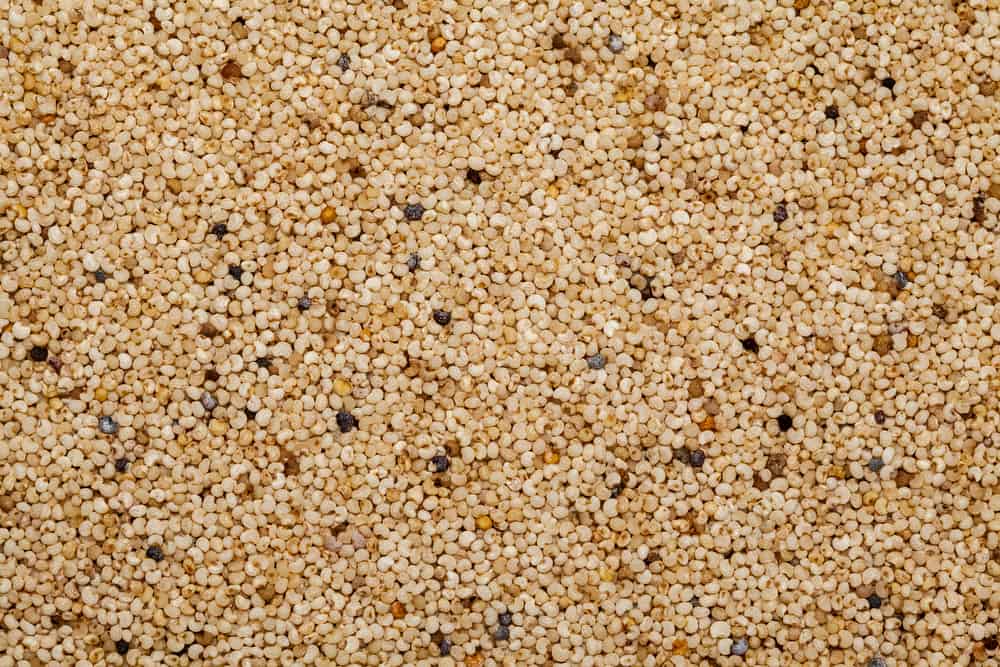 खसखस के बीज के फायदे एवं नुकसान – Health Benefits of Poppy Seed