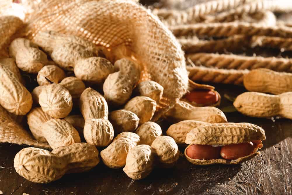 मूंगफली के ये 7 फायदे जानकर हैरान रह जाएंगे