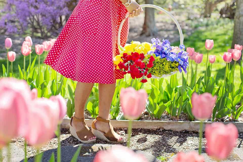 चिंता और निराशा दूर करने का अचूक तरीका है गार्डनिंग