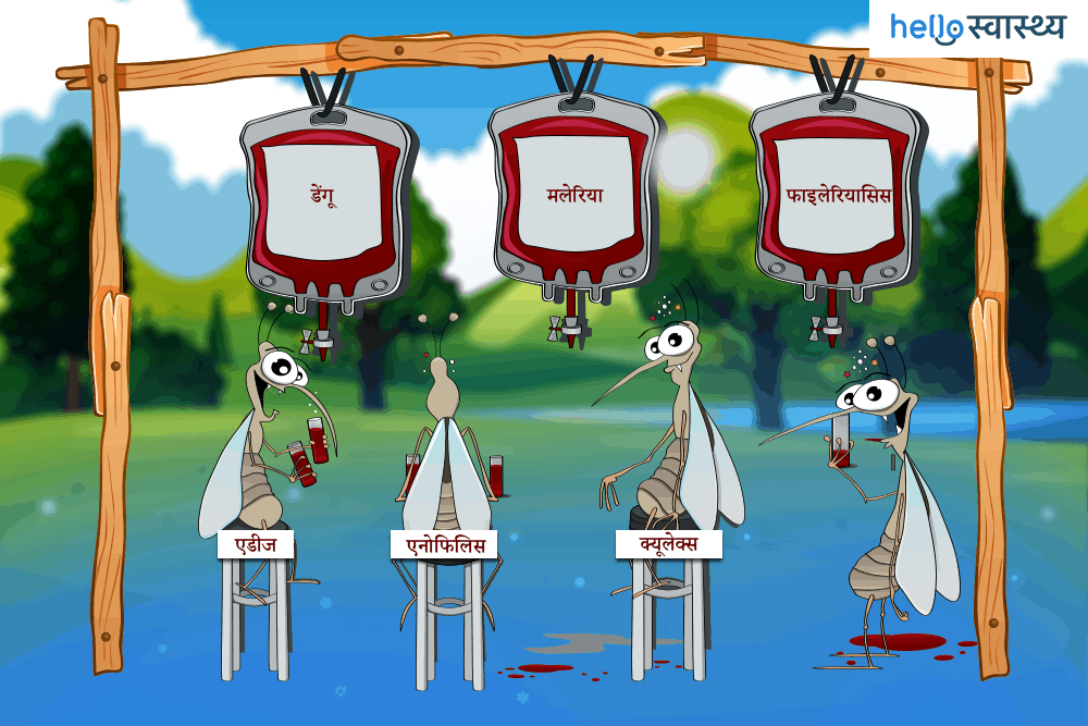 विश्व मच्छर दिवस: जानें किस वजह से पड़ी इस दिन को मनाने की जरूरत और रोचक तथ्य