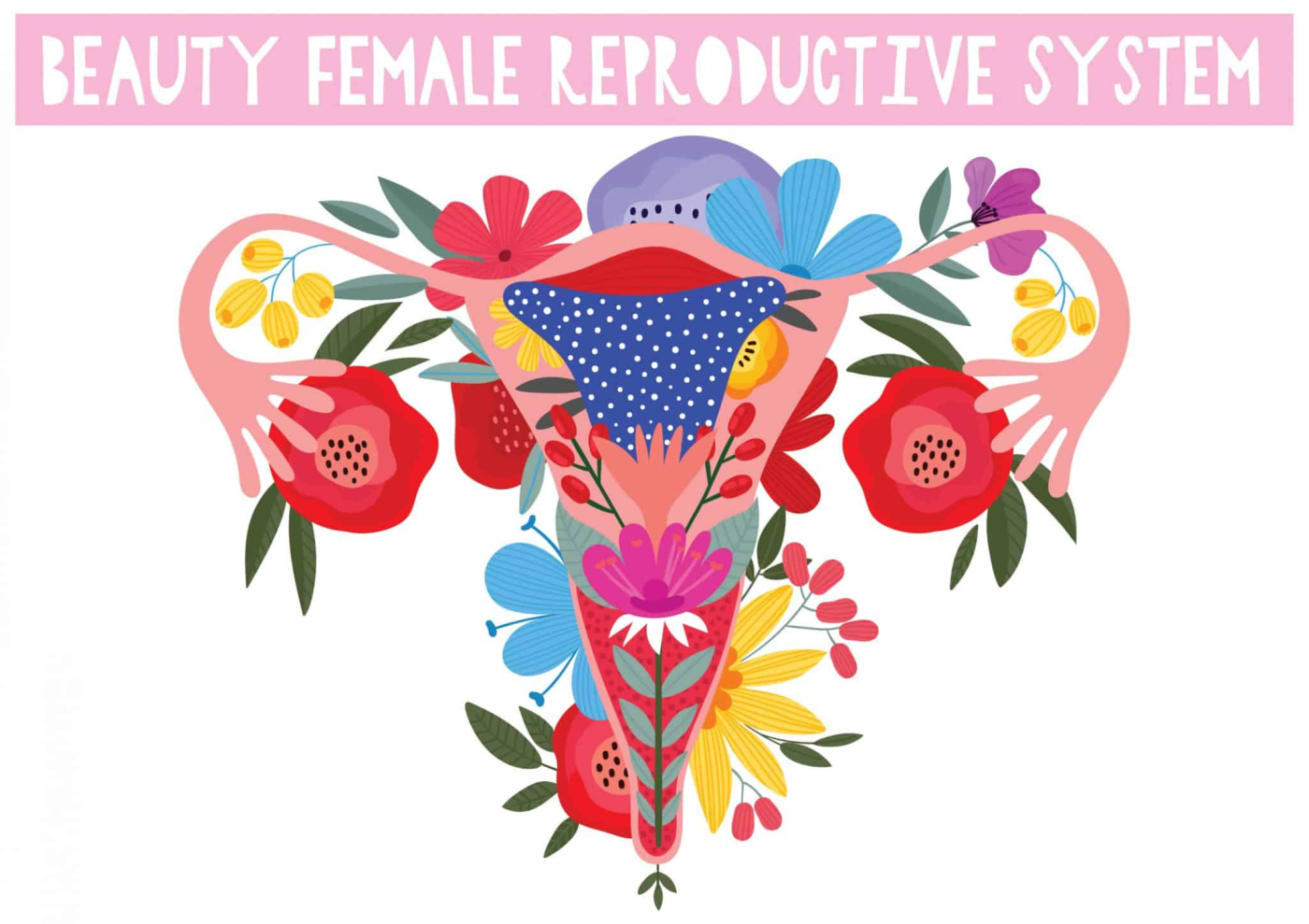 योनि से जुड़े तथ्य (Vaginal facts), जो शायद ही जानते हों आप