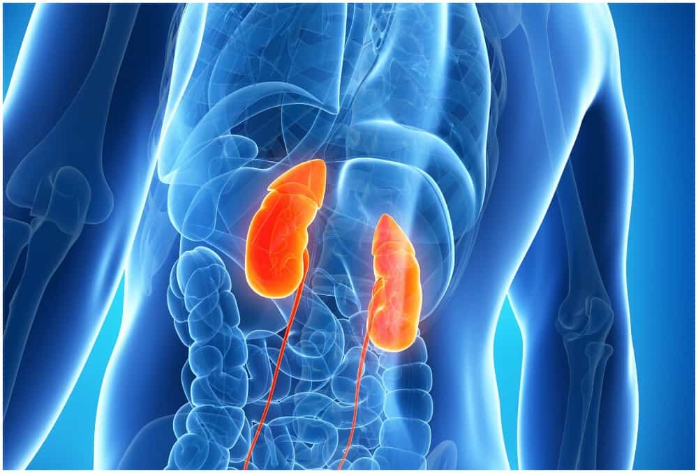 किडनी डैमेज होने के कारण और 8 संकेत 