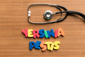 यीस्ट इंफेक्शन (Yeast infection)