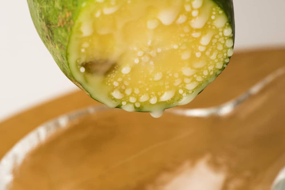 Papain : पैपिन क्या है? जानिए इसके उपयोग, साइड इफेक्ट्स और सावधानियां