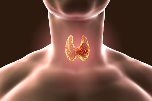 Thyroid Function Test: जानें क्या है थायरॉइड फंक्शन टेस्ट?