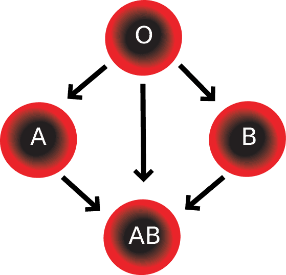 माता-पिता से बच्चे का ब्लड ग्रुप अलग क्यों होता है?