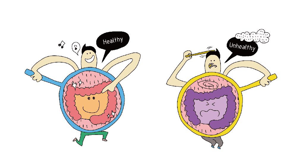 Gut Bacteria-गट बैक्टीरिया