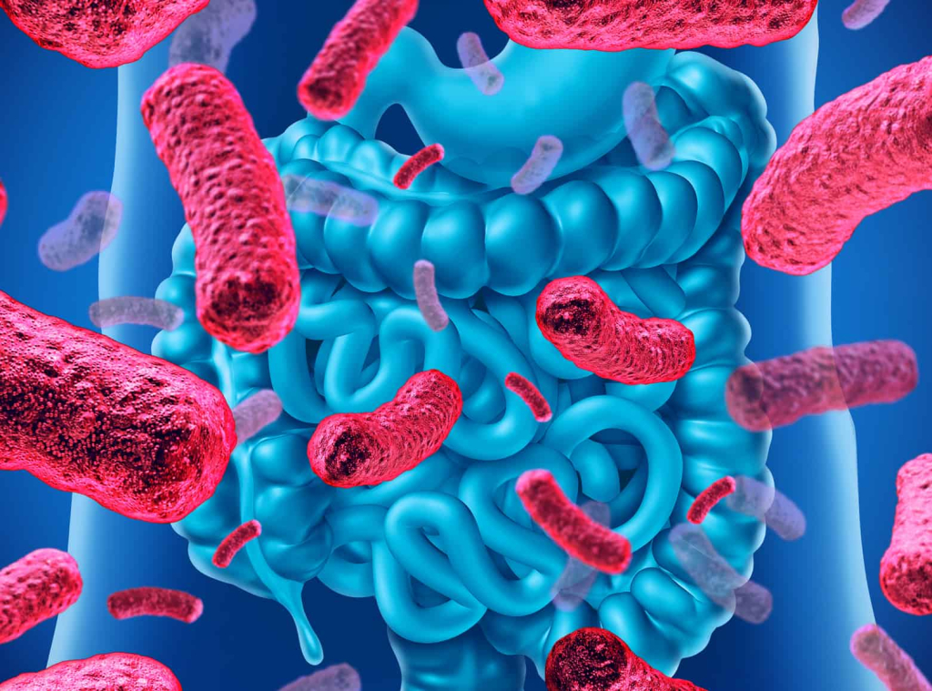 प्रोबायोटिक्स-Health benefits of taking probiotics