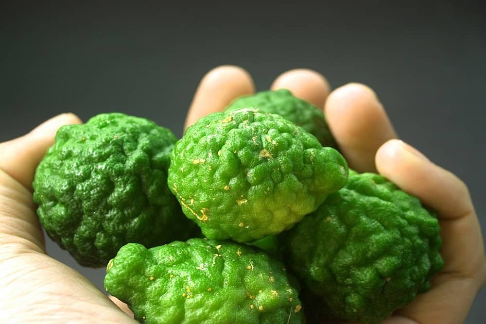 Bergamot : बर्गमोट क्या है?