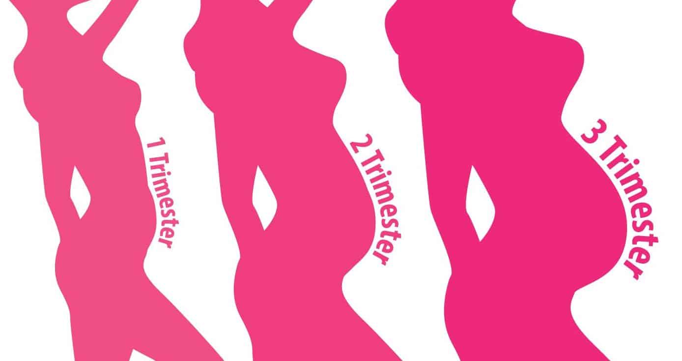 पहली तिमाही से तीसरी तक प्रेग्नेंसी के दौरान ब्रेस्ट में आते हैं ये बदलाव, ऐसे करें देखभाल!