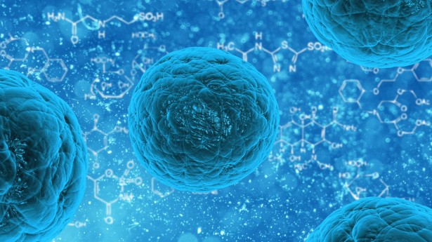Stem Cells: स्टेम सेल्स क्या हैं? किन बीमारियों के इलाज में होता है इनका उपयोग