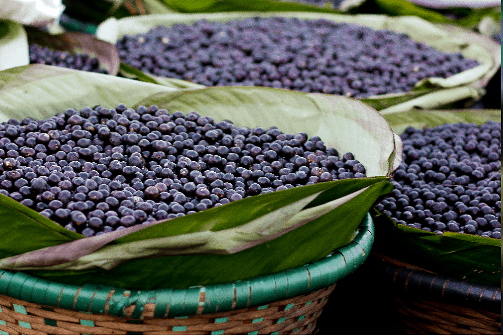 Acai: असाई क्या है?
