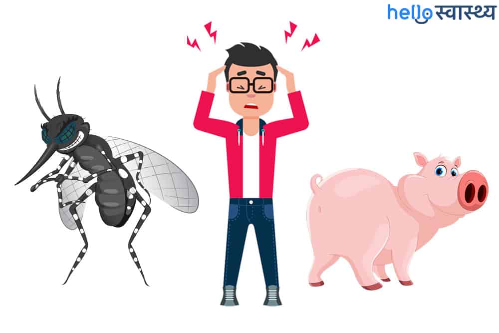 डेंगू और स्वाइन फ्लू -dengue and swine flu