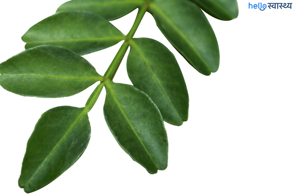 जैबोरेंडी के फायदे एवं नुकसान – Health Benefits of Jaborandi