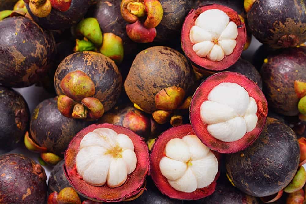 Mangosteen : मैंगोस्टीन क्या है?