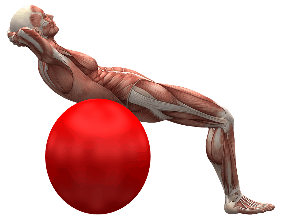 Muscular dystrophy : मस्क्युलर डिस्ट्रॉफी क्या है?