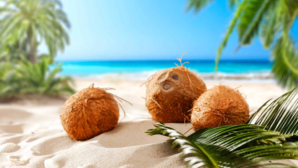 Coconut health benefits-नारियल खाने के फायदे
