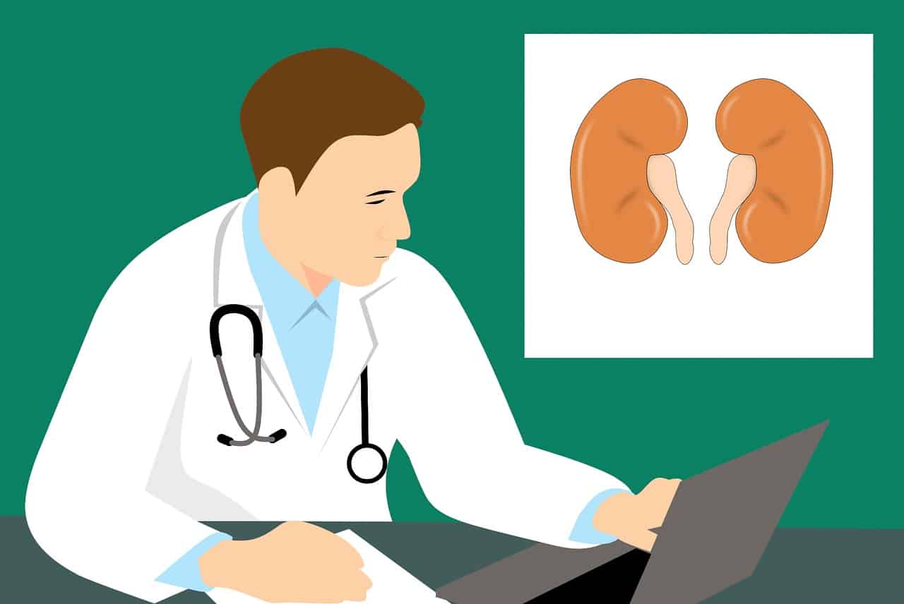 Kidney Stone : किन कारणों से वापस हो सकती है पथरी की बीमारी?
