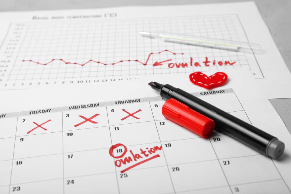 क्या स्तनपान का फर्टिलिटी पर असर पड़ता है?