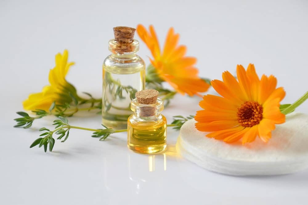 Calendula: केलैन्डयुला क्या है?
