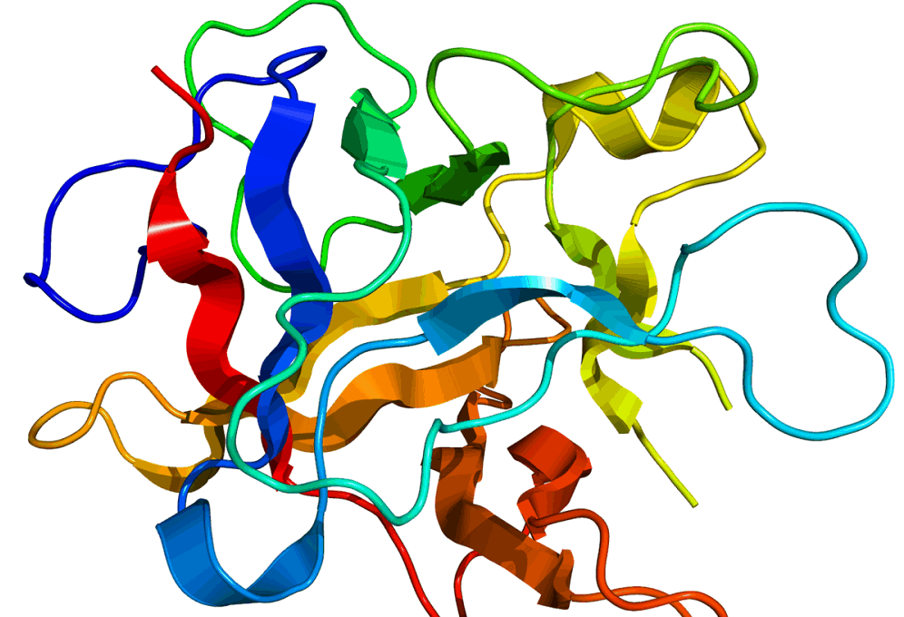 Trypsin: ट्रिप्सिन क्या है?