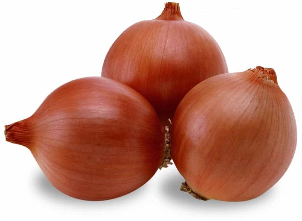 Onion: अनियन क्या है?