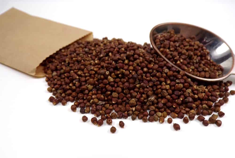 Grains of paradise : स्वर्ग का अनाज क्या है?