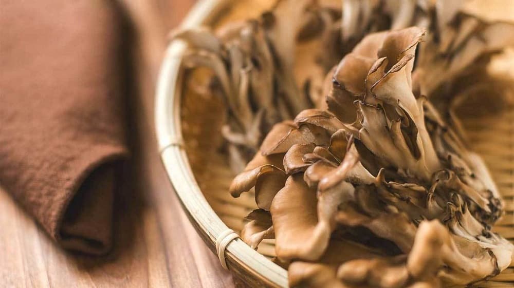 Maitake Mushroom: मेटेक मशरूम क्या है?