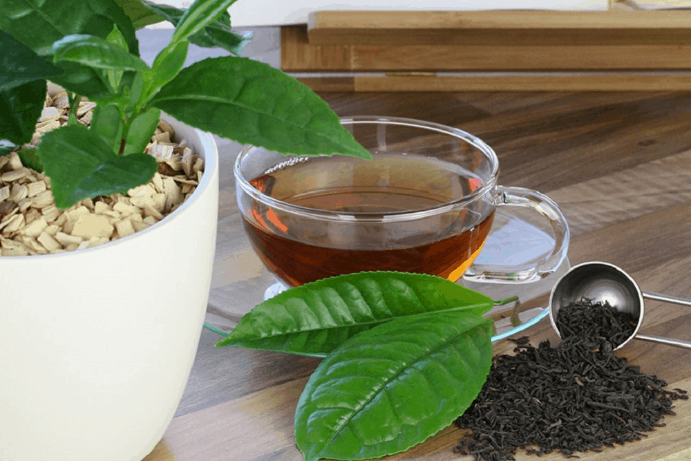 Black Tea: काली चाय क्या है?