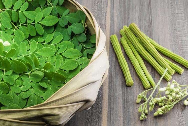 Moringa: सहजन क्या है?