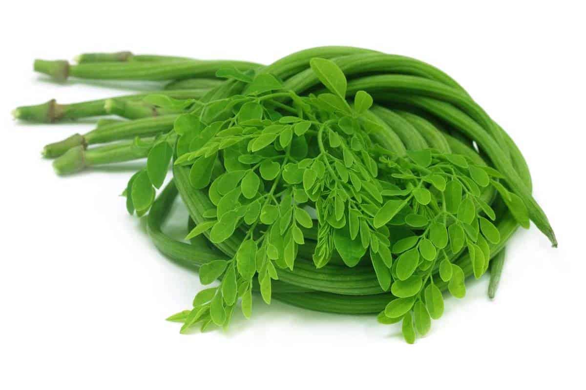 मोटापा घटाने के लिए जानिए सहजन की पत्तियों के फायदे