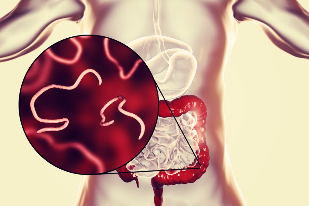 Mebendazole : मेबेंडाजोल क्या है? जानिए इसके उपयोग, साइड इफेक्ट्स और सावधानियां