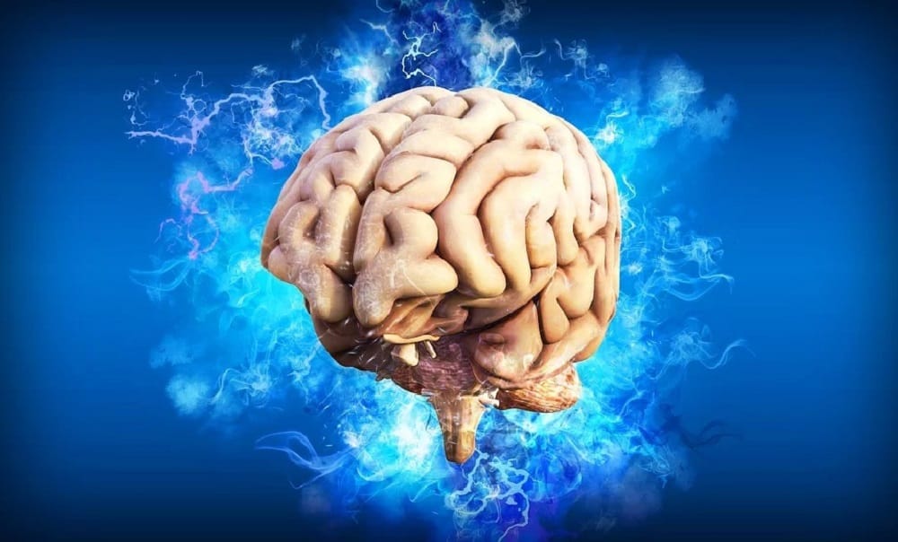 Hyperthymesia (Hyperthymestic Syndrome) : हाइपरथाईमेसिया क्या है?